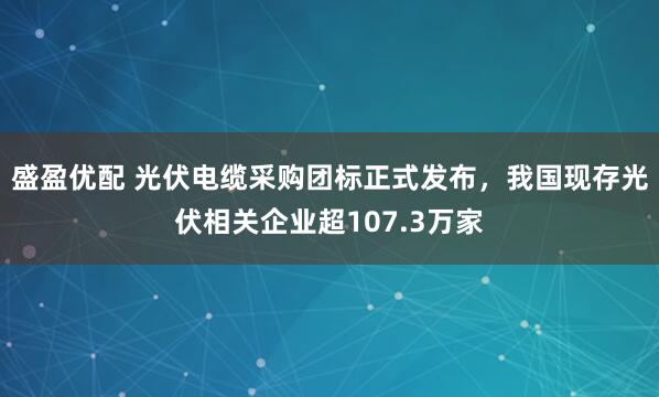盛盈优配 光伏电缆采购团标正式发布，我国现存光伏相关企业超107.3万家