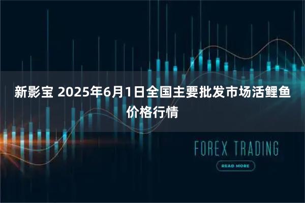 新影宝 2025年6月1日全国主要批发市场活鲤鱼价格行情