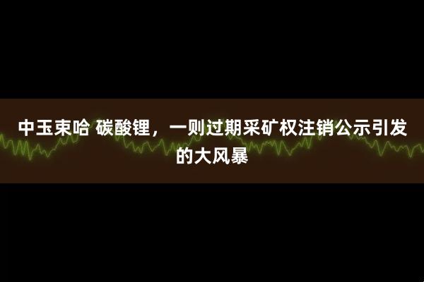 中玉束哈 碳酸锂，一则过期采矿权注销公示引发的大风暴