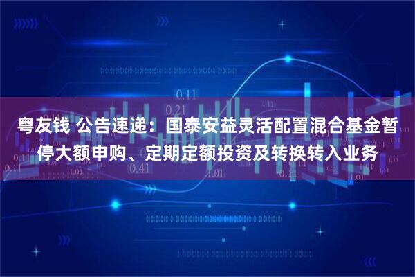 粤友钱 公告速递：国泰安益灵活配置混合基金暂停大额申购、定期定额投资及转换转入业务