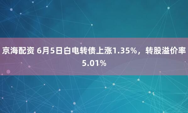 京海配资 6月5日白电转债上涨1.35%，转股溢价率5.01%