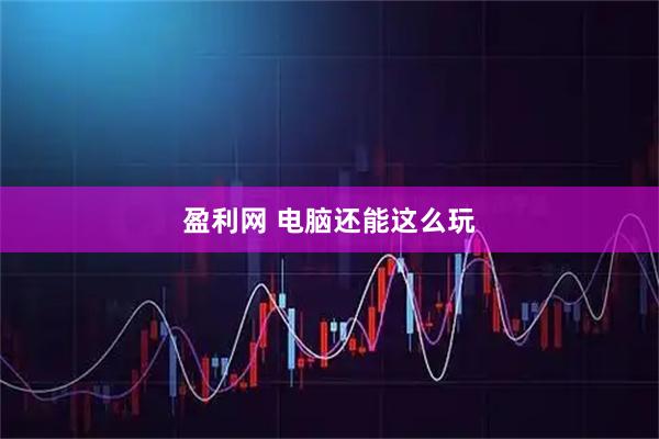 盈利网 电脑还能这么玩