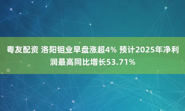 粤友配资 洛阳钼业早盘涨超4% 预计2025年净利润最高同比增长53.71%